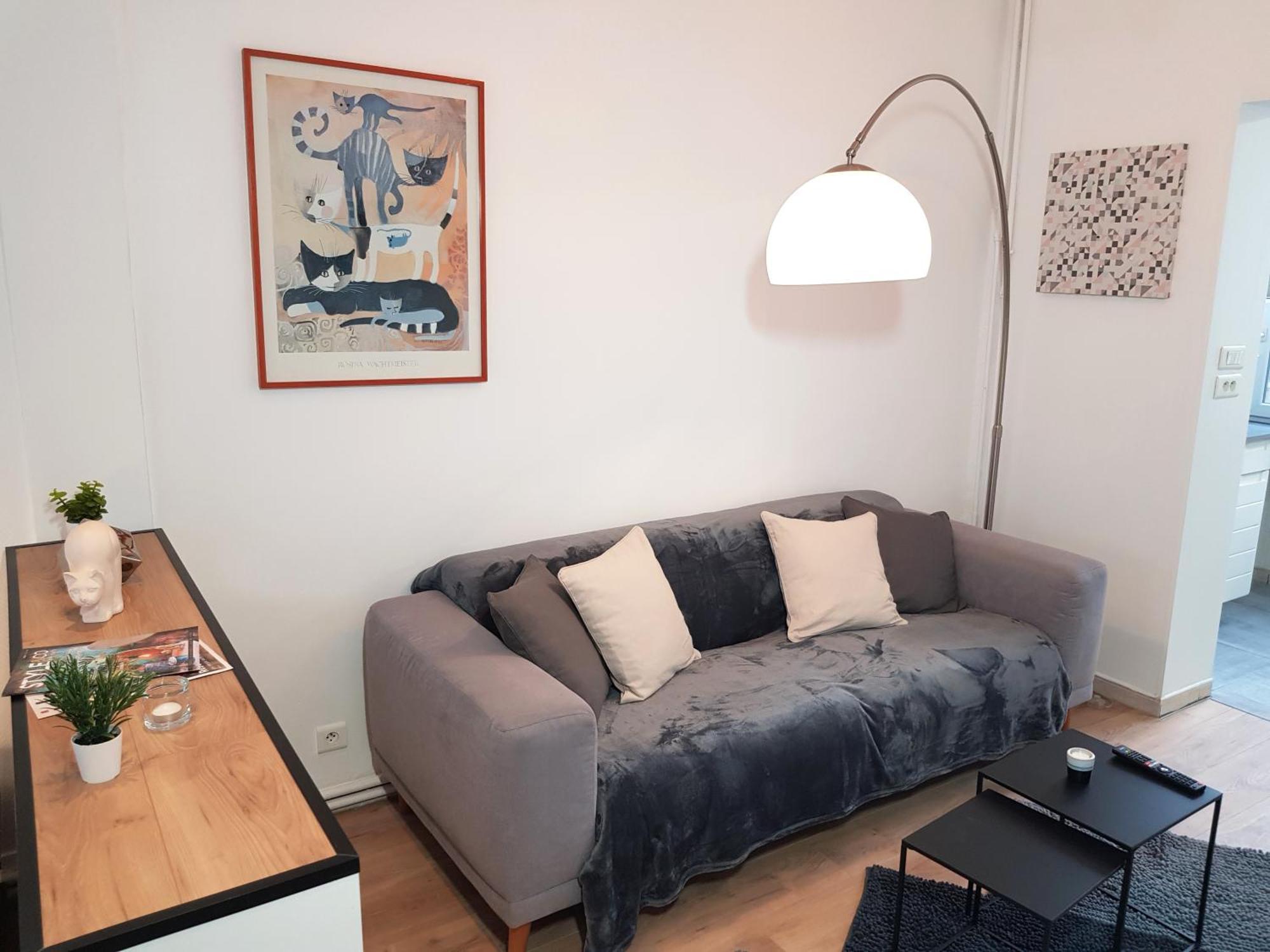 Le Chat D'Or - 35M2 - Terrasse - Bbq - Wifi Hd Amiens Buitenkant foto